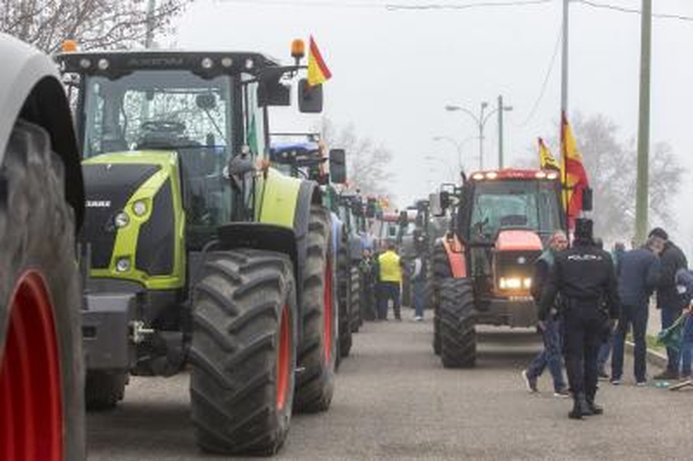 Miles de agricultores y ganaderos salen a la calle para certificar que están al límite.  / YOLANDA LANCHA