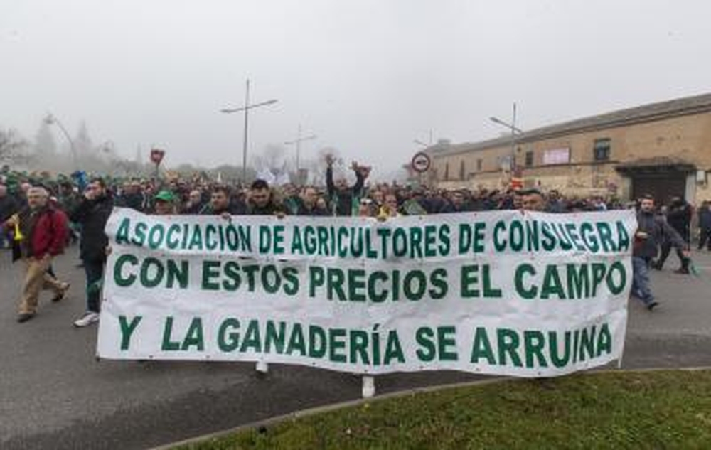 Miles de agricultores y ganaderos salen a la calle para certificar que están al límite.  / YOLANDA LANCHA