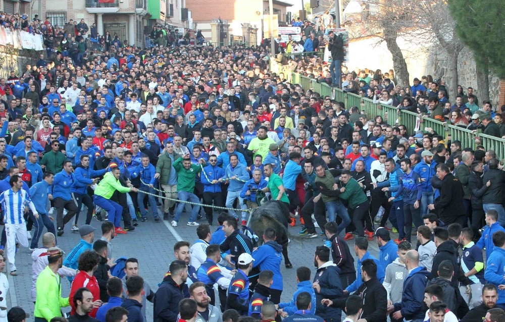 El toro enmaromado de Yuncos fue el evento popular más multitudinario y en 2021 peligra su celebración.