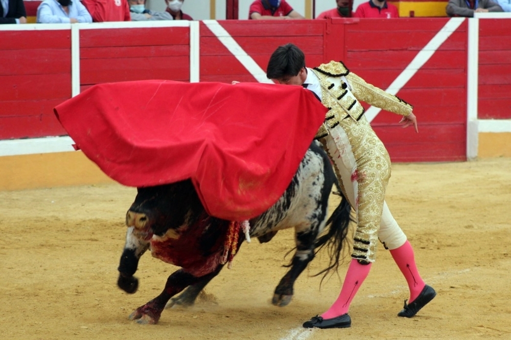 Esaú Fernández supo aprovechar las cualidades del buen segundo.