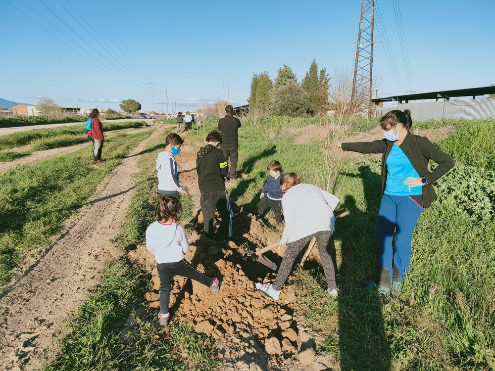 Nueva plantación de árboles en el Camino de Guadalupe | Noticias La Tribuna  de Toledo