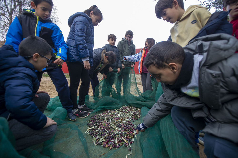 Varea Solidaria en el Colegio Alfonso VI  