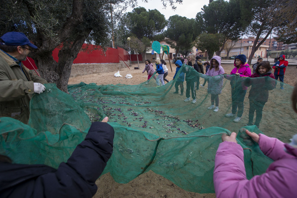 Varea Solidaria en el Colegio Alfonso VI  