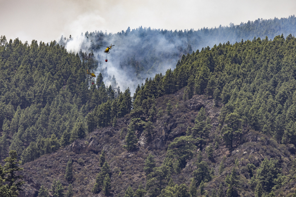 El incendio de Tenerife ya alcanza las casi 15.000 hectáreas calcinadas  / AGENCIAS