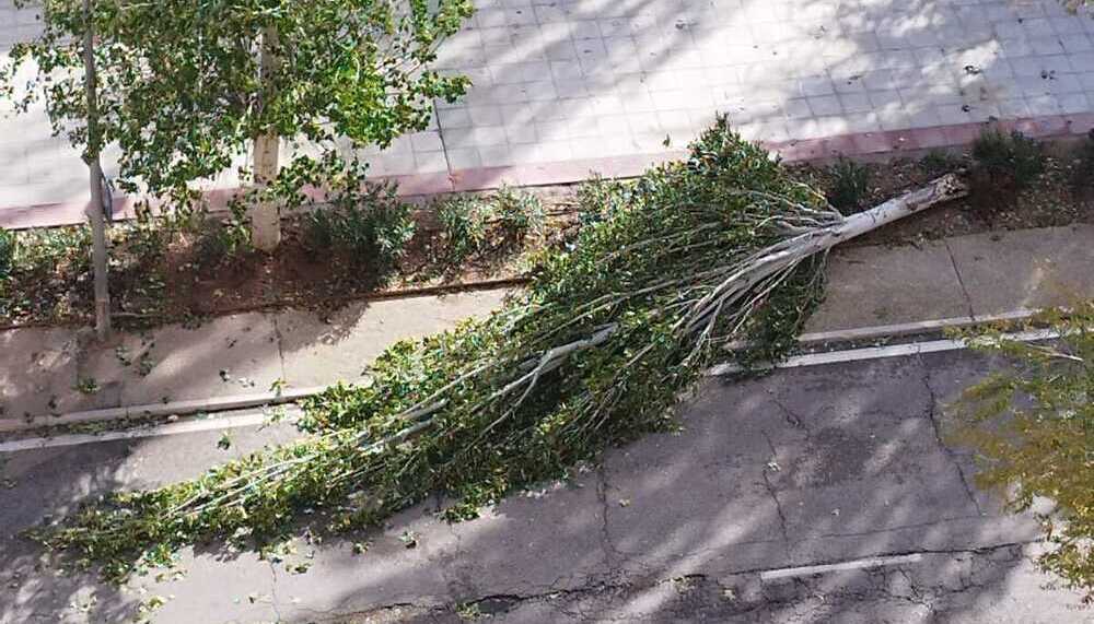 El vendaval deja decenas de incidencias en la ciudad de Toledo