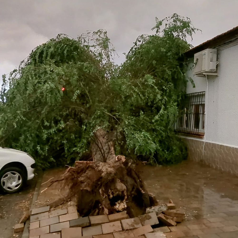 Un pequeño tornado daña viviendas y arbolado en Sonseca