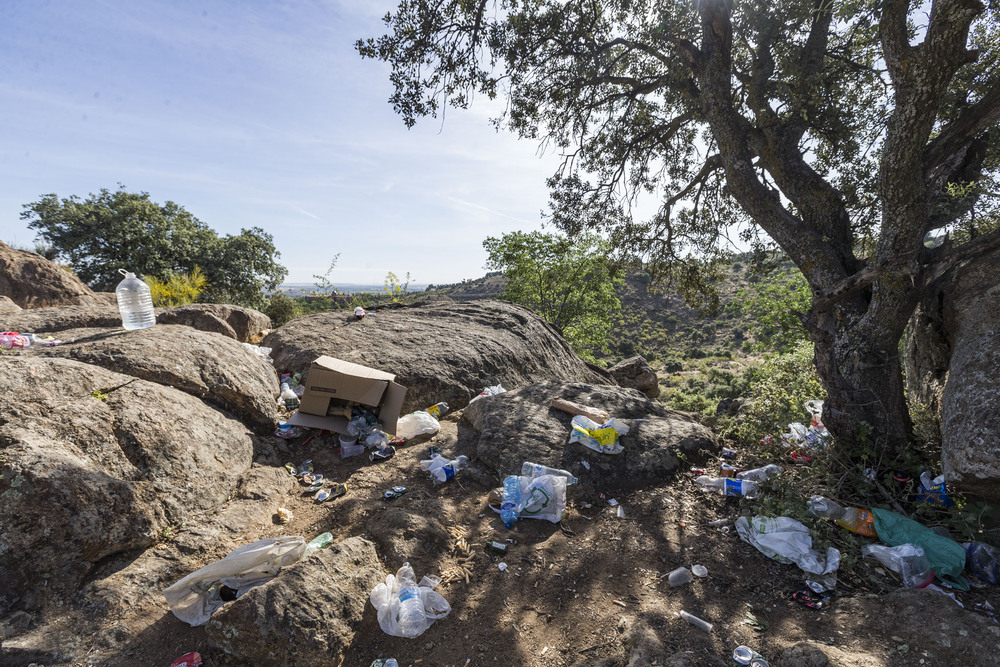 El barrio de Vallehermoso comienza a reciclar la basura orgánica – Chamberí