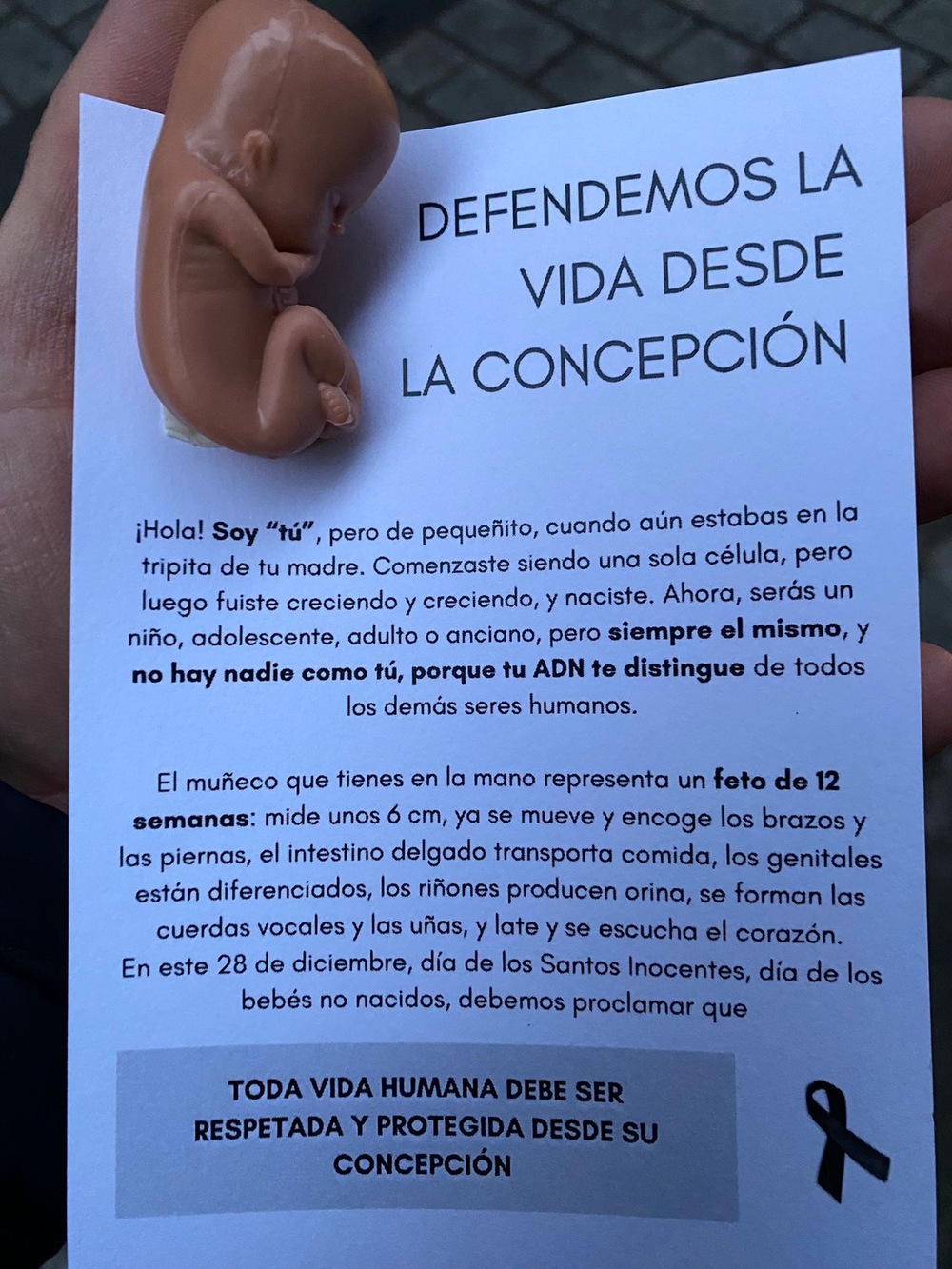 Imagen del manifiesto distribuido. 