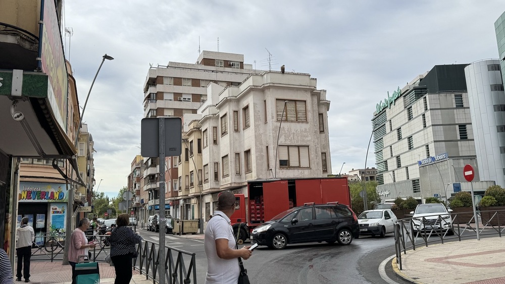 Sorpresa por un buitre en pleno centro de Talavera