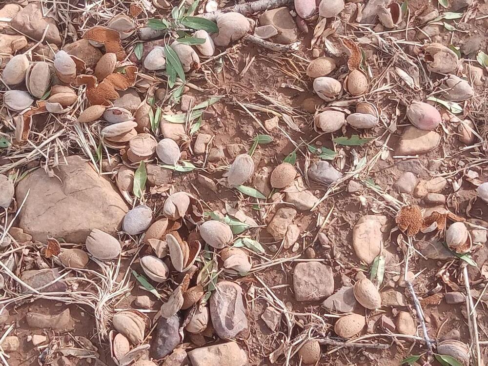 Lluvia y granizo arrasan los campos de La Mancha y los Montes