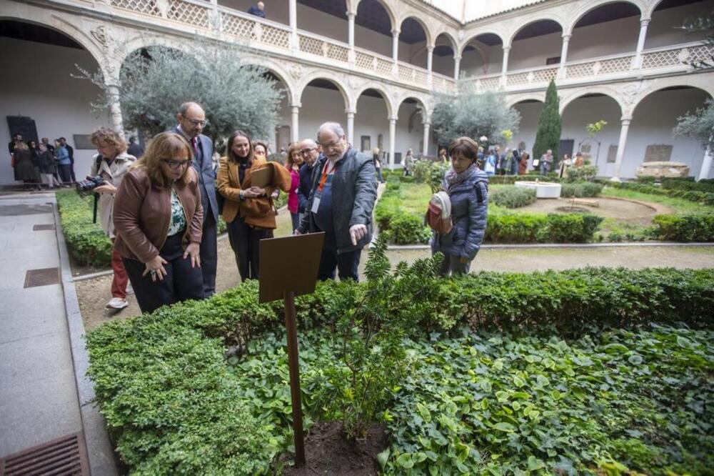 Toledo recupera su vegetación andalusí