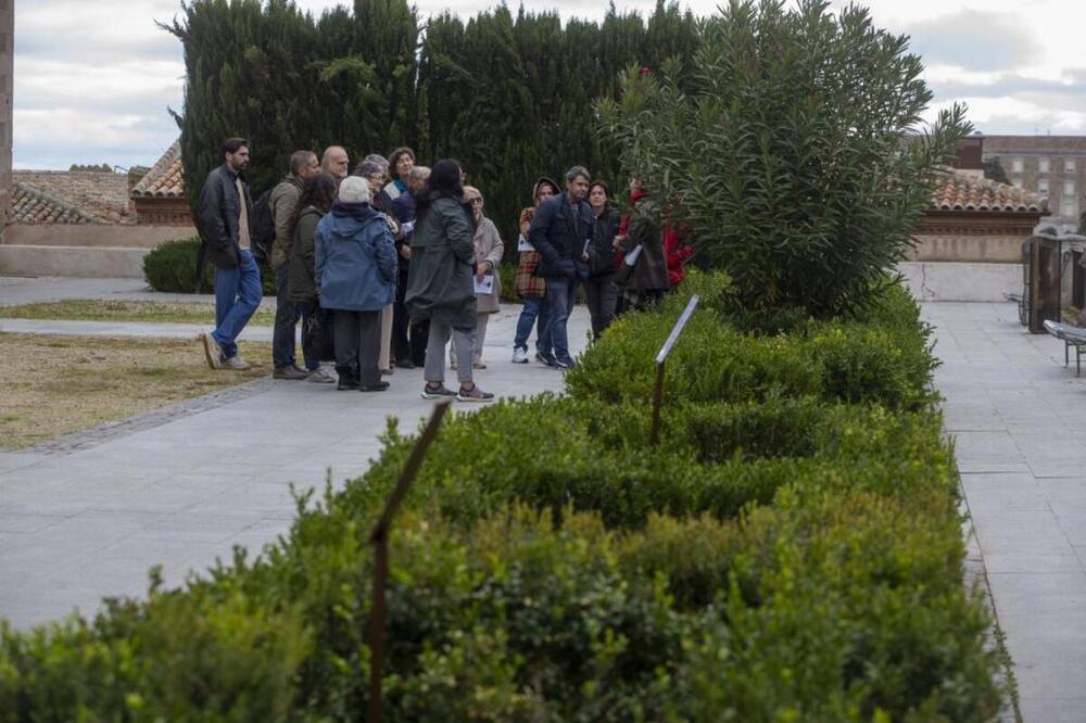 Toledo recupera su vegetación andalusí