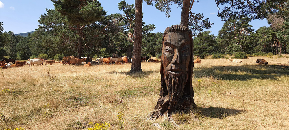 El indio es una de las esculturas que mas gustan a los turistas que se acercan a hacer esta ruta a Condemios de Arriba.