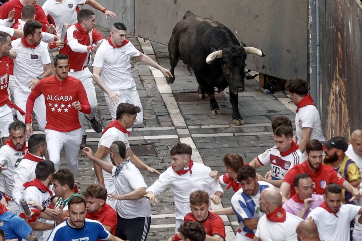 Los toros de Domingo Hernández en el quinto encierro de los Sanfermines  / JESÚS DIGES