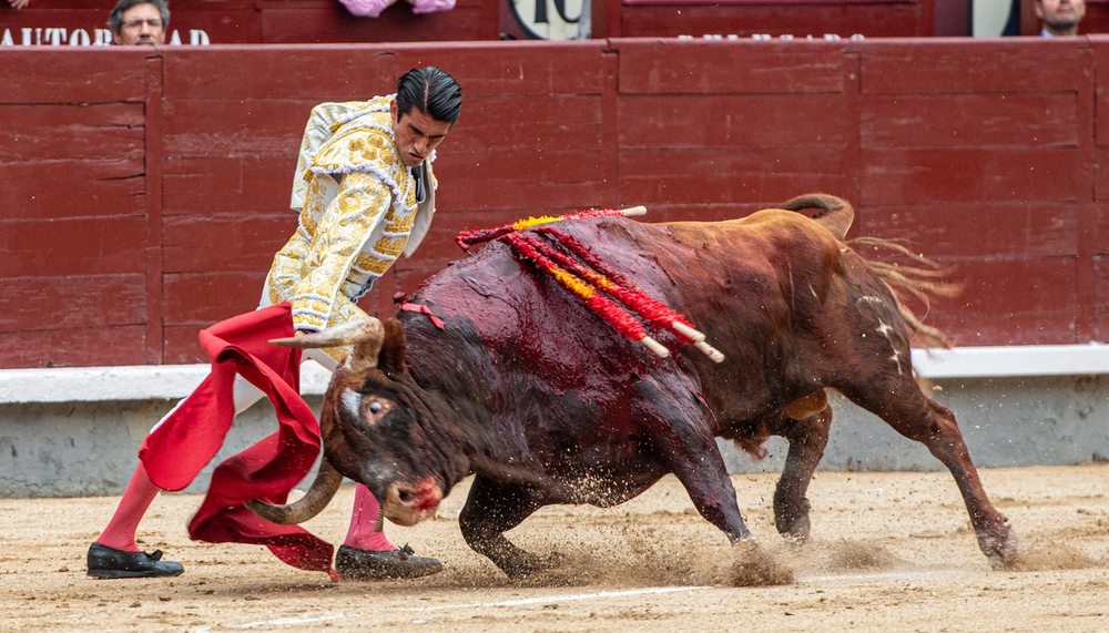 Calita volvía a Madrid tras su confirmación de alternativa el pasado año.