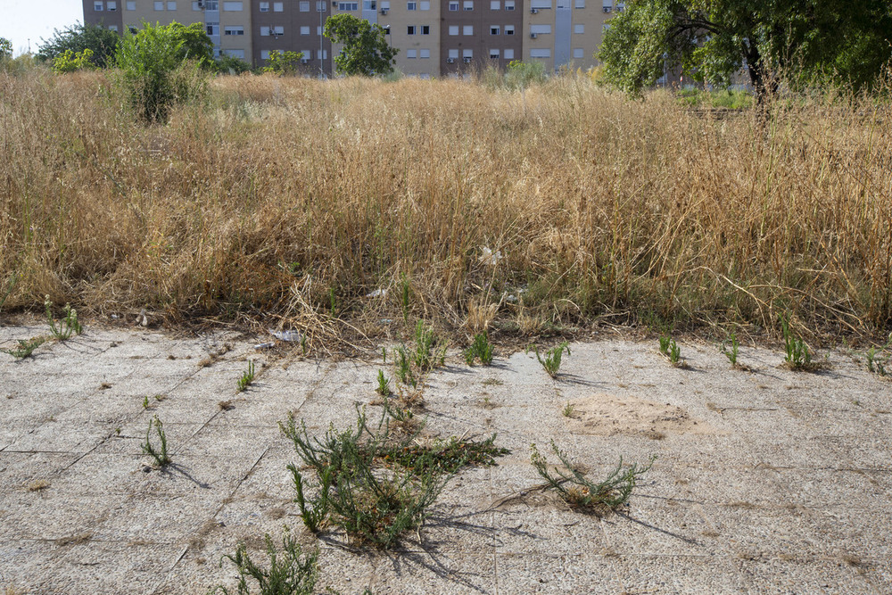 Los vecinos piden la urbanización del entorno de la 'ele'