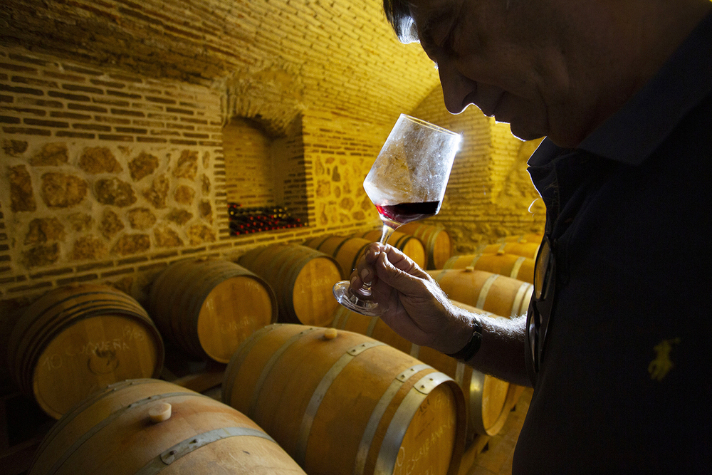 Bodega en los sótanos de un palacio con cinco siglos de historia en La Torre.