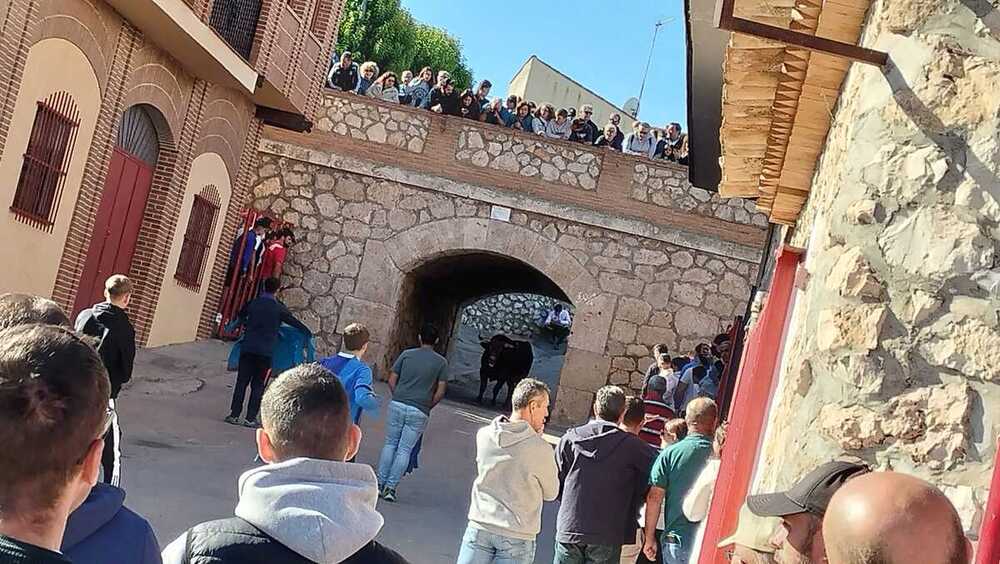 La cogida se produjo en la calle Jesús y María