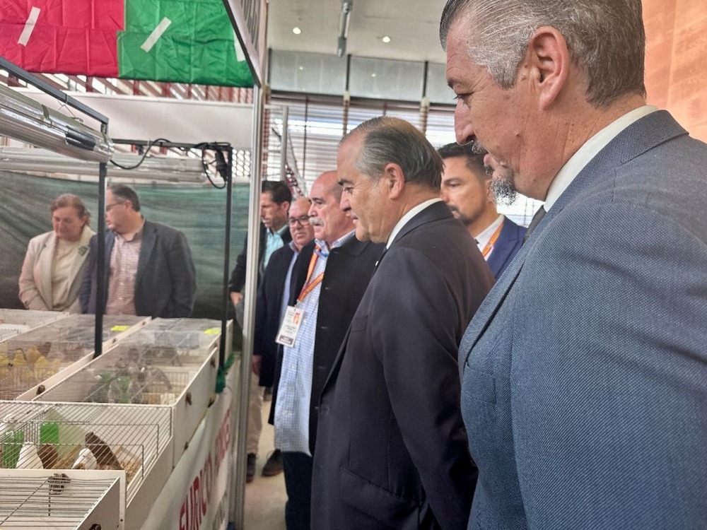 Talavera Ferial es este fin de semana cumbre de la ornitología