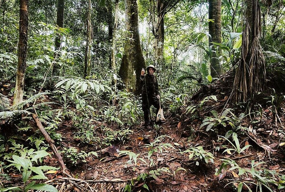 En plena selva de Camino de Cruces en la que hubo que desbrozar a machetazos para hacer senda.