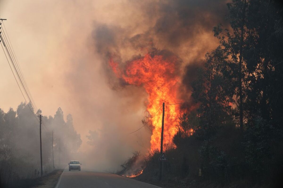 Declarado incendio en el centro de Portugal  / CARLOS GARCÍA