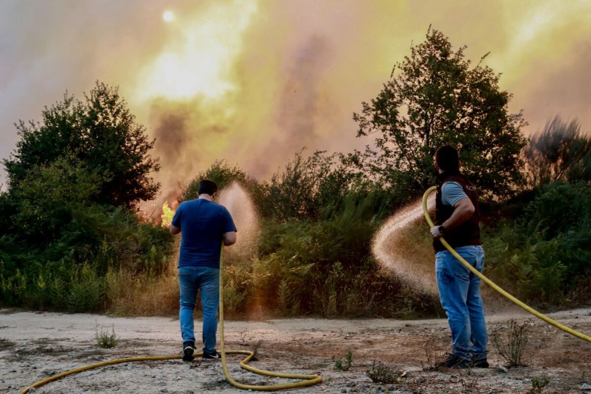 Forest fire in Portugal  / MIGUEL PEREIRA DA SILVA