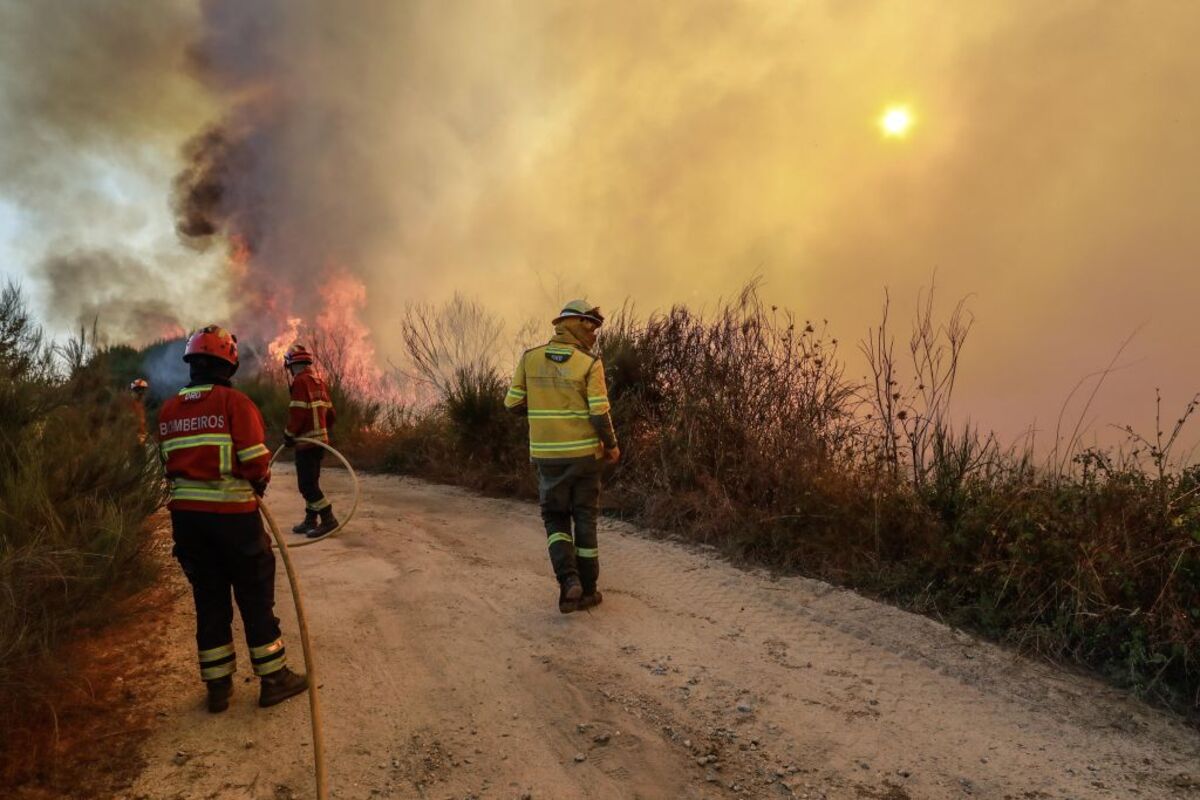 Forest fire in Portugal  / MIGUEL PEREIRA DA SILVA