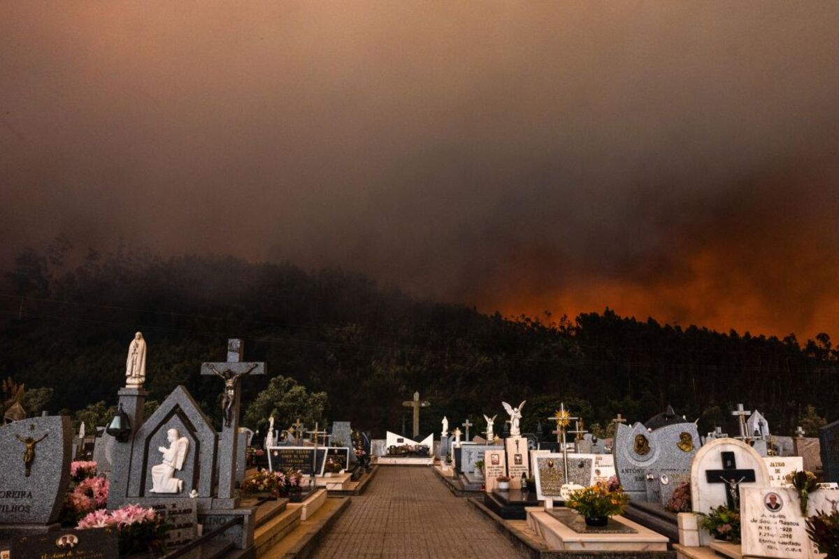 Forest fire in Portugal  / JOSE COELHO