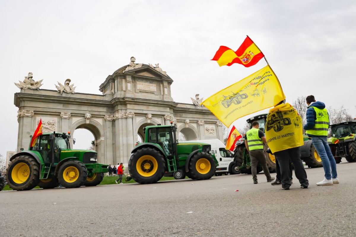Décimosexta jornada de protestas de los tractores en las carreteras españolas para pedir mejoras en el sector  / JOSÉ RAMÓN HERNANDO