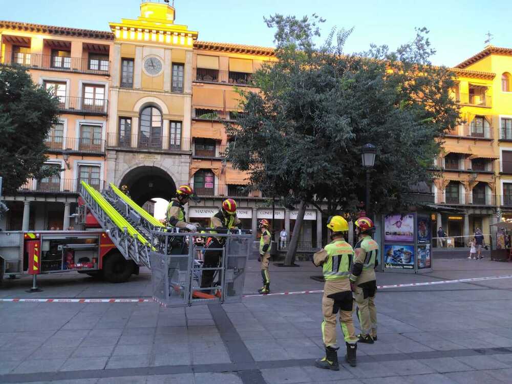 Los bomberos talan un almez en la plaza de Zocodover