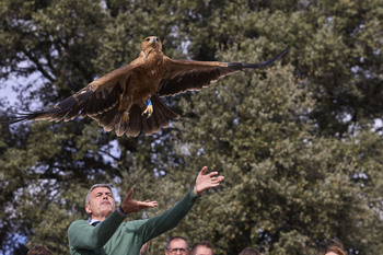 La Junta libera cinco aves rapaces criadas en Sevilleja