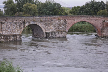 La lluvia eleva el caudal del Tajo que ayer llegó a 332 m3/sg