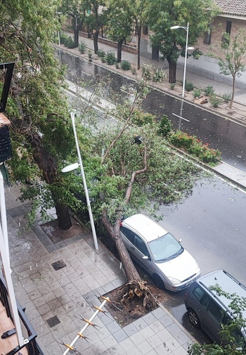 El temporal deja vientos de 100 km/h y 38,9 l/m2 de lluvia