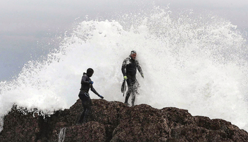 Cosecha de un tesoro del mar