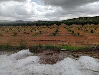 El granizo arrasa 200 hectáreas de cultivo en Manzaneque