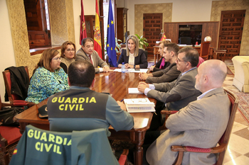 Preocupación por el peligro de robo en el olivar