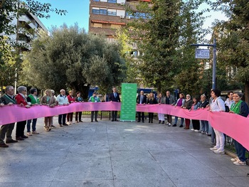 Gregorio aboga por aumentar la investigación de cáncer de mama