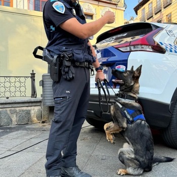 La Unidad Canina detiene a un hombre por llevar anfetaminas