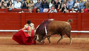 Roca Rey: tirón y expectación en Aranjuez