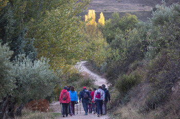 Toledo volverá a ‘marchar’ por Apacama