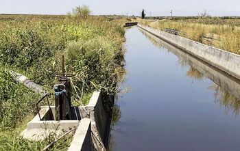 España da 13 millones de euros para modernizar el regadío