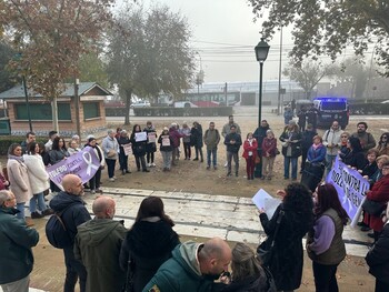 El Consejo de la Mujer clama contra la violencia vicaria