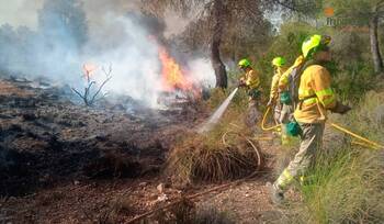 Extinguido el incendio de Hellín tras arder 100 hectáreas