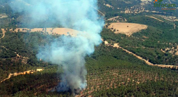 Los incendios han arrasado 122 hectáreas forestales en verano