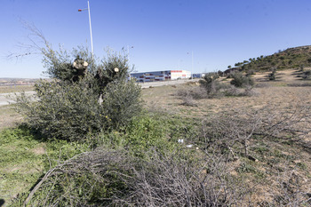 Más de 700 viviendas podrían levantarse en la Zona de Contacto