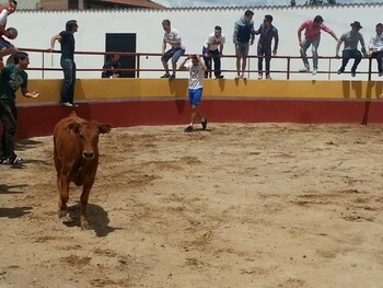 Herido un hombre por una vaquilla en una capea en Seseña