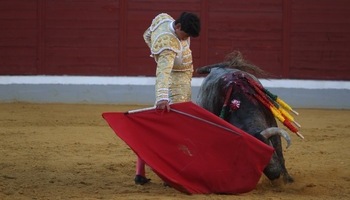 “Desafío” a la bravura