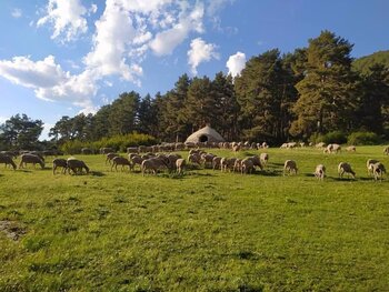 Los Montes Universales, la Laponia castellanomanchega