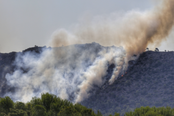 Vox reclama información sobre los incendios al Gobierno de CLM