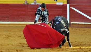 Puerta grande para David Galván en Illescas